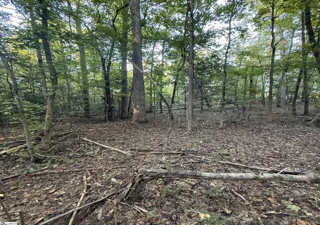 Photo 2 of Land for sale at 627 Daventon Rd, Honea Path, SC 29654 | MLS# 1605721 | Listing updated on 2026-10-05