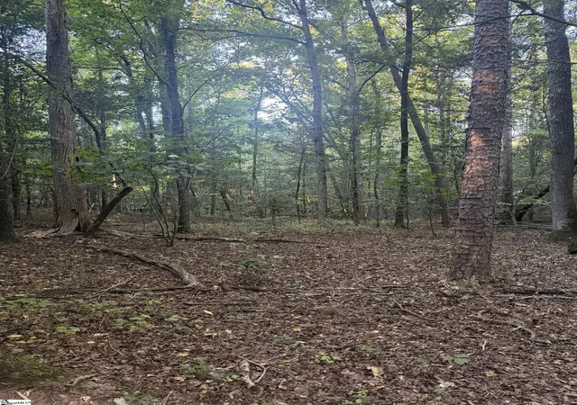 Photo 3 of Land for sale at 627 Daventon Rd, Honea Path, SC 29654 | MLS# 1605721 | Listing updated on 2026-10-05