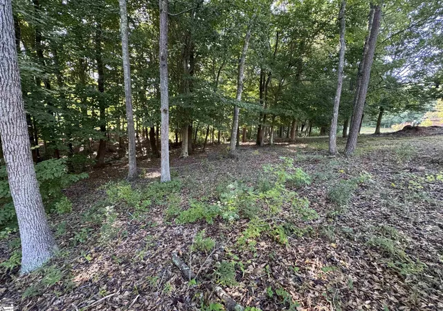 Photo 4 of Sale Pending at 252 Currys Lake Cir, Gray Court, SC 29645 | MLS# 1602599 | Listing updated on 2026-09-11