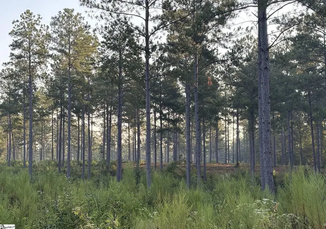 Photo 4 of Land for sale at 334 Berry Rd, Pelzer, SC 29669 | MLS# 1600468 | Listing updated on 2026-09-09