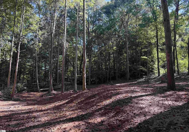 Photo 3 of Land for sale at 9 Starview Rd, Travelers Rest, SC 29690 | MLS# 1606022 | Listing updated on 2026-10-07