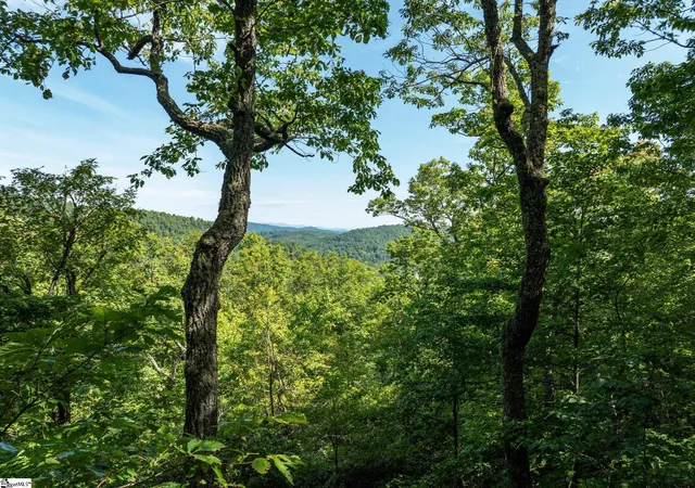 Photo 2 of Land for sale at 0 Panther Mountain Rd #CVN-CVN-025 LOT 25, Zirconia, NC 28790 | MLS# 1602911 | Listing updated on 2026-09-04