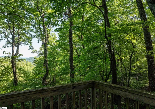 Photo 3 of Land for sale at 0 Panther Mountain Rd #CVN-CVN-025 LOT 25, Zirconia, NC 28790 | MLS# 1602911 | Listing updated on 2026-09-04