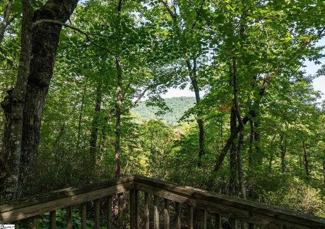 Photo 4 of Land for sale at 0 Panther Mountain Rd #CVN-CVN-025 LOT 25, Zirconia, NC 28790 | MLS# 1602911 | Listing updated on 2026-09-04