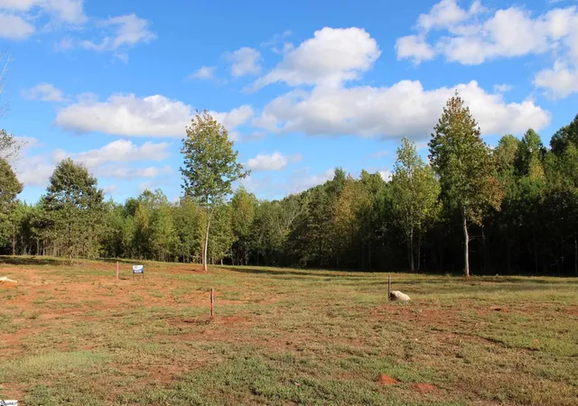 Land for sale at 399 S Nelson Dr, Fountain Inn, SC 29644 | MLS# 1593269