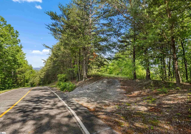 Photo 3 of Land for sale at 214 Craggy Rock Ln, Landrum, SC 29356 | MLS# 1601098 | Listing updated on 2026-09-19