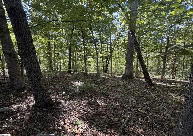 Photo 3 of Land for sale at 746 Breazeale Rd, Liberty, SC 29657 | MLS# 1606466 | Listing updated on 2026-10-20
