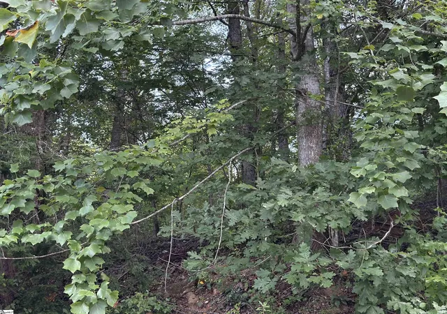 Photo 3 of Land for sale at 100 Cottage Side Trl, Travelers Rest, SC 29690 | MLS# 1602869 | Listing updated on 2026-09-04