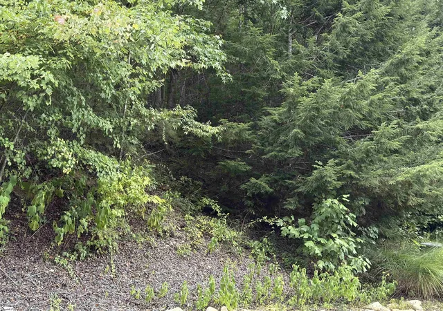 Photo 4 of Land for sale at 100 Cottage Side Trl, Travelers Rest, SC 29690 | MLS# 1602869 | Listing updated on 2026-09-04