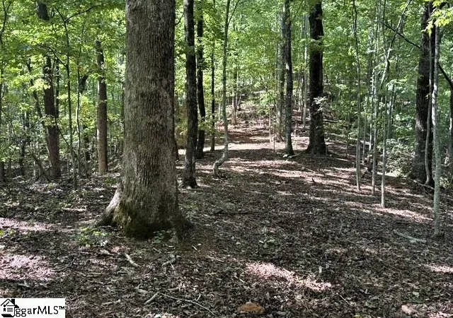 Photo 2 of Land for sale at Highway 11, Sunset, SC 29685 | MLS# 1603448 | Listing updated on 2026-09-10