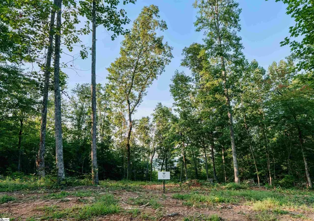 Land for sale at 200 Chestnut Mountain Rd #Lot 7, Travelers Rest, SC 29690 | MLS# 1603442