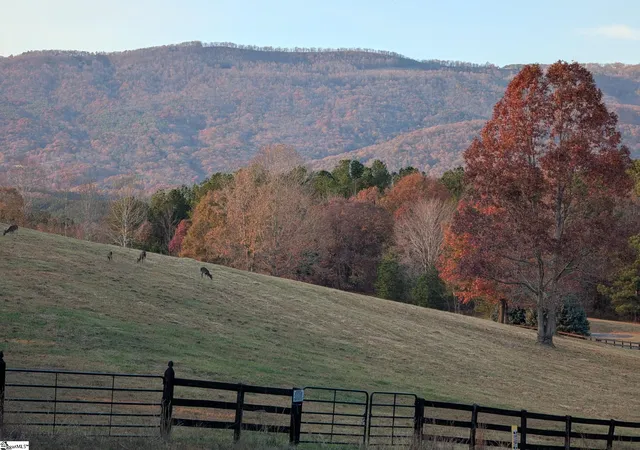 Photo 3 of Land for sale at River Park Ln, Mill Spring, NC 28756 | MLS# 1605783 | Listing updated on 2026-10-07