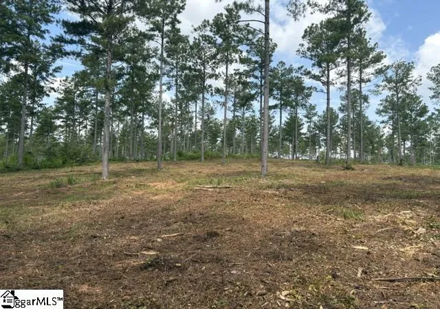 Photo 2 of Land for sale at 338 Berry Rd, Pelzer, SC 29669 | MLS# 1586695 | Listing updated on 2026-09-10