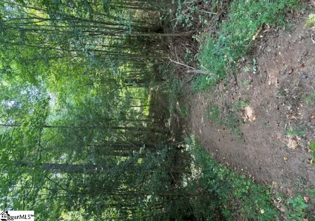 Photo 3 of Land for sale at 338 Berry Rd, Pelzer, SC 29669 | MLS# 1586695 | Listing updated on 2026-09-10