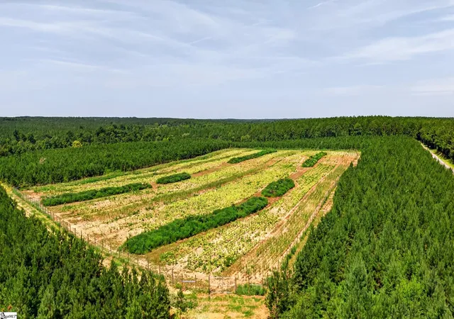 Photo 3 of Land for sale at 00 Lisbon Rd, Mountville, SC 29370 | MLS# 1602588 | Listing updated on 2026-09-02