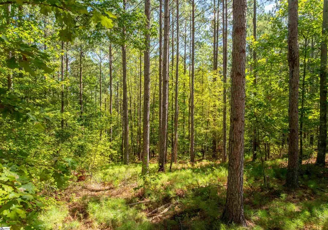 Photo 3 of Land for sale at 03 Oak Hl Rd, Belton, SC 29627 | MLS# 1606278 | Listing updated on 2026-10-16