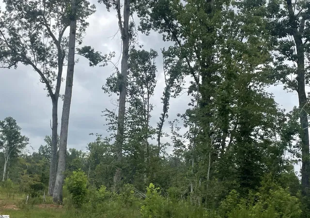 Photo 2 of Land for sale at 00 Holmes Brg Rd, Laurens, SC 29360 | MLS# 1603927 | Listing updated on 2026-09-16
