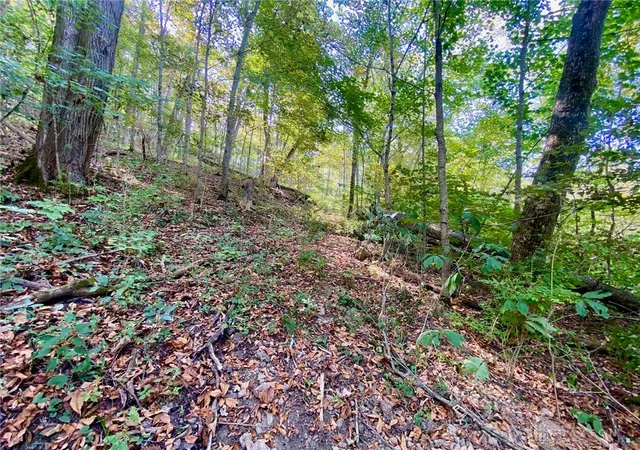 Photo 3 of Sale Pending at 615 Ac Eagle Crk Rd, Ripley, OH 45167 | MLS# 943885 | Listing updated on 2026-09-22