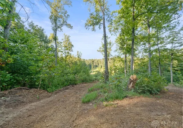 Photo 1 of Land for sale at 113 Ac Waggoner Riffle Rd, West Union, OH 45693 | MLS# 968364 | Listing updated on 2026-09-08