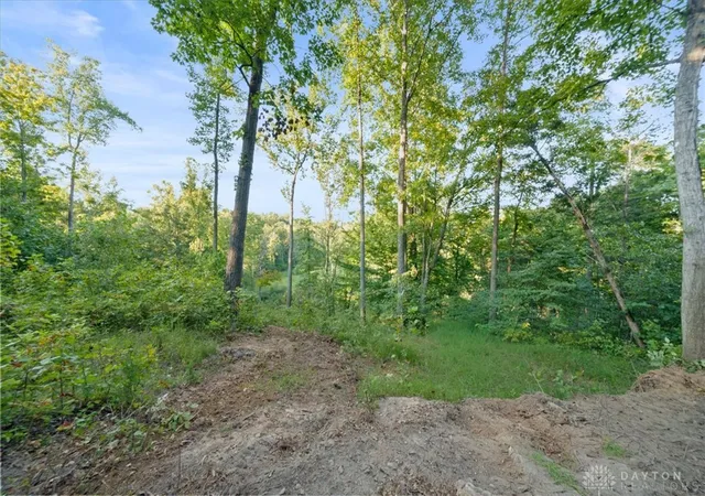 Photo 2 of Land for sale at 113 Ac Waggoner Riffle Rd, West Union, OH 45693 | MLS# 968364 | Listing updated on 2026-09-08