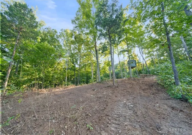 Photo 3 of Sale Pending at 113 Ac Waggoner Riffle Rd, West Union, OH 45693 | MLS# 968364 | Listing updated on 2026-10-06