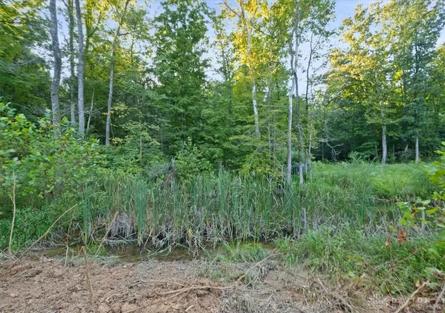 Photo 4 of Sale Pending at 113 Ac Waggoner Riffle Rd, West Union, OH 45693 | MLS# 968364 | Listing updated on 2026-10-06