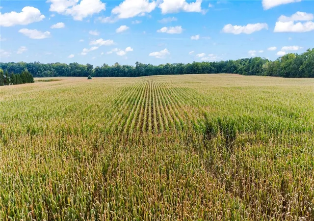 Photo 3 of Land for sale at 9534 W Covington Gettysburg Rd, Covington, OH 45318 | MLS# 968636 | Listing updated on 2026-09-11