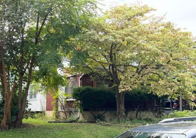 Photo 3 of Sale Pending at 1320 Demphle Ave, Dayton, OH 45410 | MLS# 971063 | Listing updated on 2026-10-21