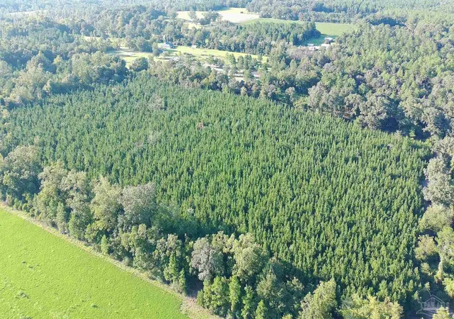 Land for sale at 20 Acres Lewis Rd, Milton, FL 32570 | MLS# 689642
