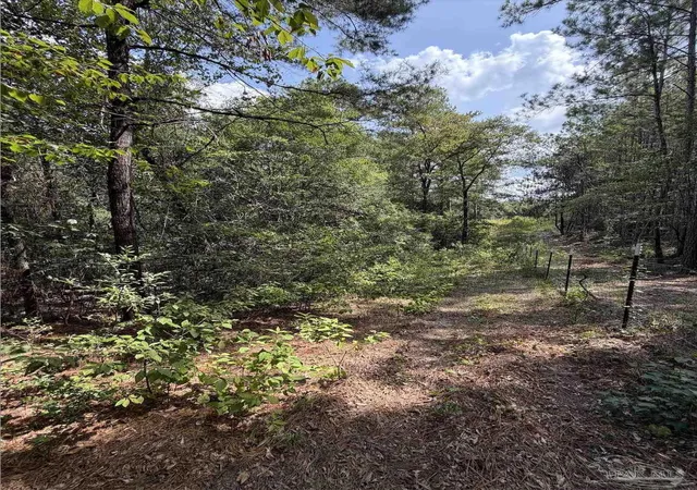 Photo 1 of Land for sale at 77 Acres Werlin St, Brewton, AL 36426 | MLS# 689270 | Listing updated on 2026-10-09