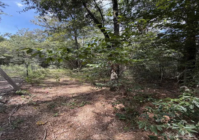Photo 2 of Land for sale at 77 Acres Werlin St, Brewton, AL 36426 | MLS# 689270 | Listing updated on 2026-10-09