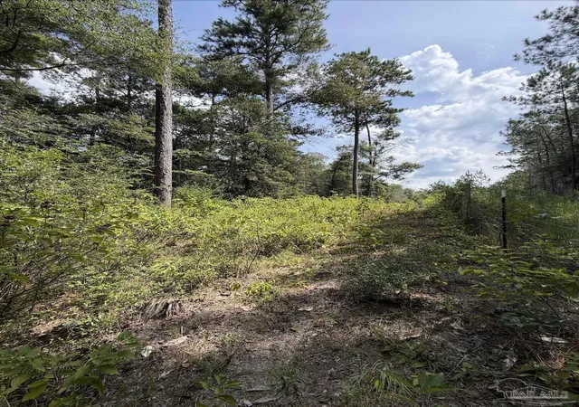 Photo 3 of Land for sale at 77 Acres Werlin St, Brewton, AL 36426 | MLS# 689270 | Listing updated on 2026-10-09