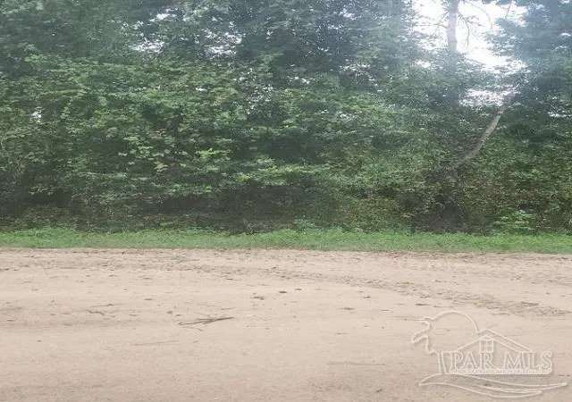 Photo 3 of Land for sale at 1571 NW 5th Street, Jennings, FL 32053 | MLS# 687760 | Listing updated on 2026-09-02