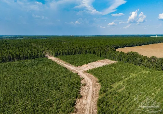 Photo 1 of Land for sale at Lot 107 Posie Forest Rd, Milton, FL 32570 | MLS# 689809 | Listing updated on 2026-10-14