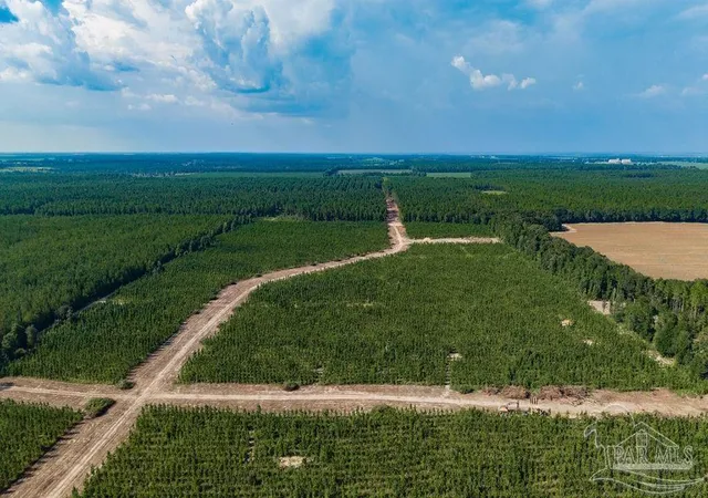 Photo 1 of Land for sale at Lot 87 Posie Forest Rd, Milton, FL 32570 | MLS# 689529 | Listing updated on 2026-09-25