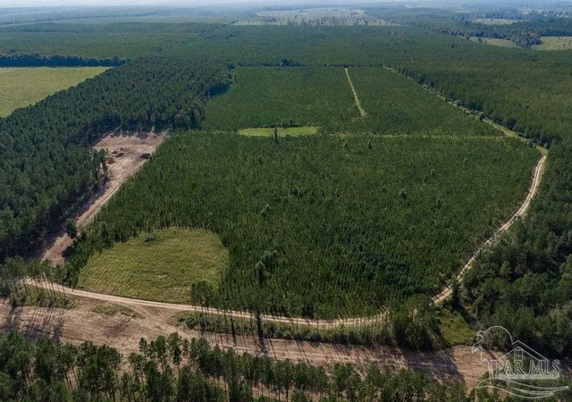 Photo 2 of Land for sale at Lot 87 Posie Forest Rd, Milton, FL 32570 | MLS# 689529 | Listing updated on 2026-09-25