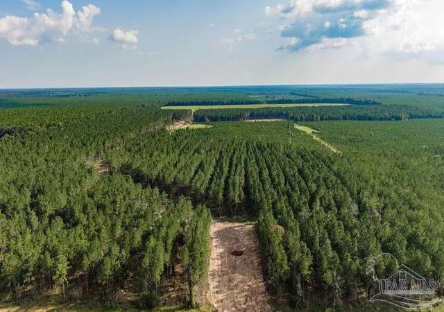 Photo 3 of Land for sale at Lot 87 Posie Forest Rd, Milton, FL 32570 | MLS# 689529 | Listing updated on 2026-09-25