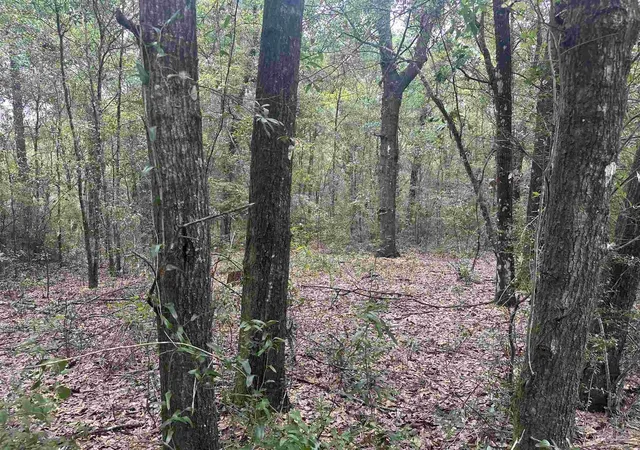 Photo 4 of Land for sale at 0002 Blk Mcinnis St, Milton, FL 32583 | MLS# 688499 | Listing updated on 2026-09-15