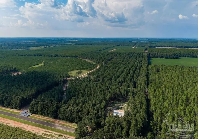 Photo 1 of Land for sale at Lot 93 Posie Forest Rd, Milton, FL 32570 | MLS# 689472 | Listing updated on 2026-09-24