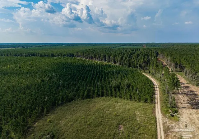 Photo 3 of Land for sale at Lot 93 Posie Forest Rd, Milton, FL 32570 | MLS# 689472 | Listing updated on 2026-09-24