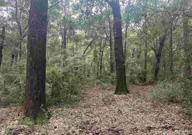 Photo 3 of Land for sale at 0003 Blk Mcinnis St, Milton, FL 32583 | MLS# 688500 | Listing updated on 2026-09-18