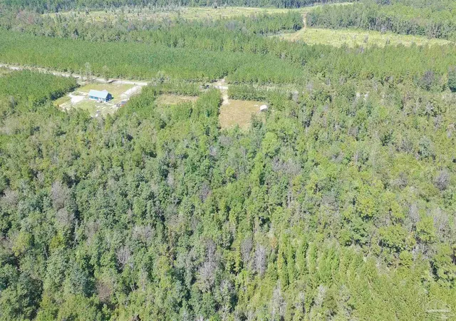 Photo 3 of Land for sale at Lot 21 Mineral Springs Rd, Jay, FL 32565 | MLS# 690121 | Listing updated on 2026-10-14