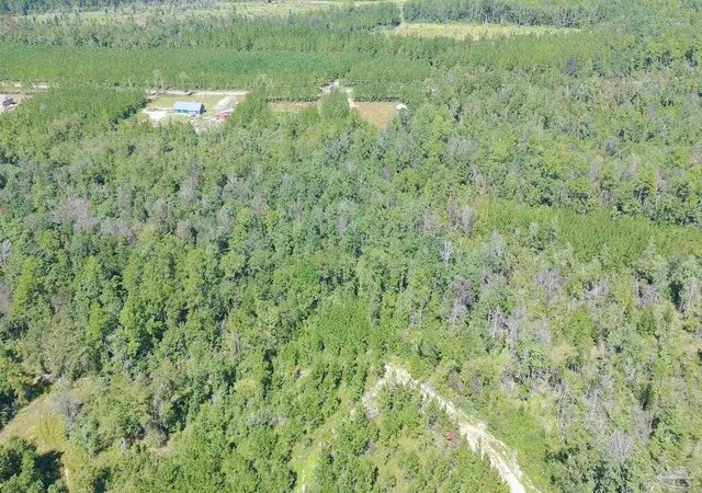 Photo 4 of Land for sale at Lot 21 Mineral Springs Rd, Jay, FL 32565 | MLS# 690121 | Listing updated on 2026-10-14