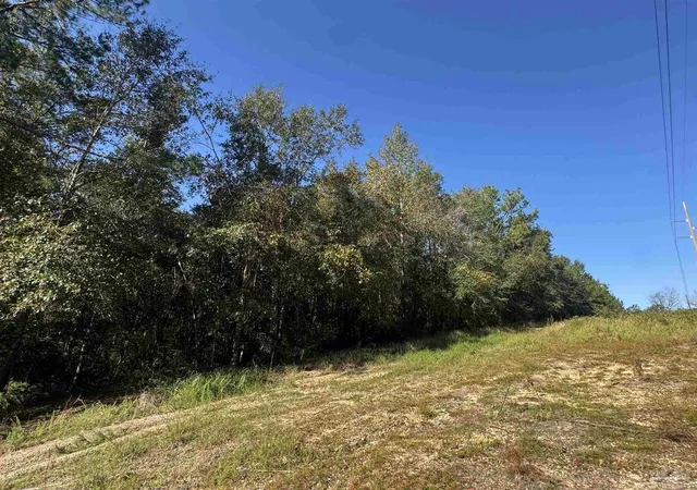 Photo 1 of Land for sale at 002 Van Hoosen Rd, Flomaton, AL 36441 | MLS# 690103 | Listing updated on 2026-10-12