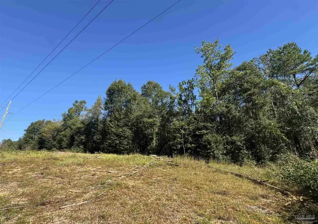 Photo 2 of Land for sale at 002 Van Hoosen Rd, Flomaton, AL 36441 | MLS# 690103 | Listing updated on 2026-10-12