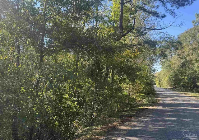 Photo 3 of Land for sale at 002 Van Hoosen Rd, Flomaton, AL 36441 | MLS# 690103 | Listing updated on 2026-10-12