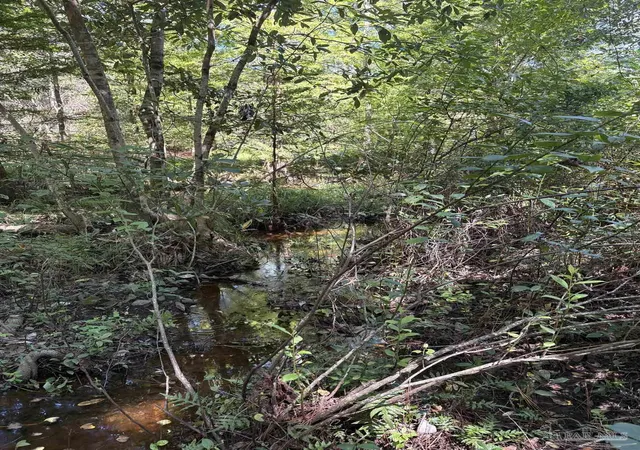 Photo 3 of Land for sale at 00 Pea Ridge Connector Rd, Pace, FL 32571 | MLS# 689441 | Listing updated on 2026-09-24