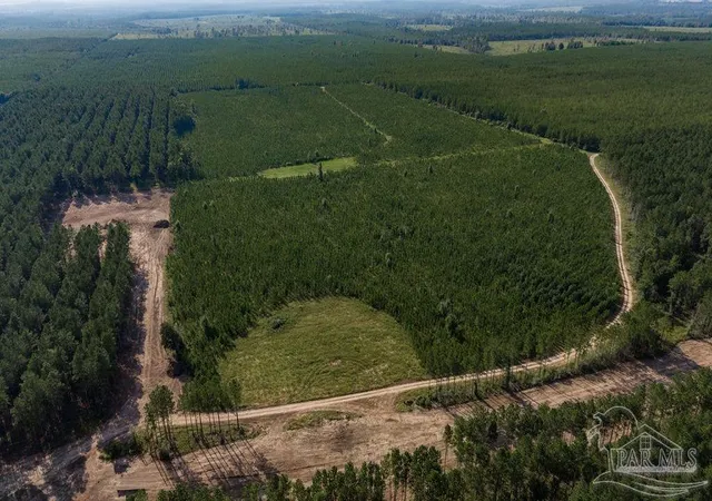 Land for sale at Lot 90 Posie Forest Rd, Milton, FL 32570 | MLS# 689483