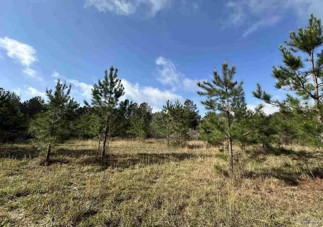 Photo 3 of Land for sale at 3366 Ac Snider Rd #33.66 AC, Frisco City, AL 36445 | MLS# 688719 | Listing updated on 2026-09-22