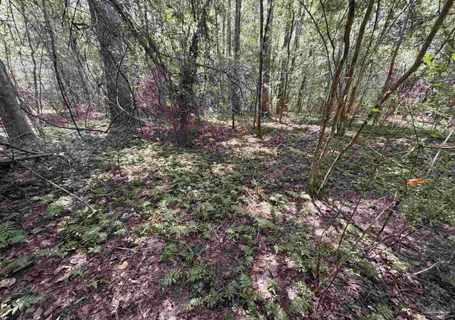 Photo 3 of Land for sale at 0 Hwy 179a, Westville, FL 32464 | MLS# 688902 | Listing updated on 2026-10-05